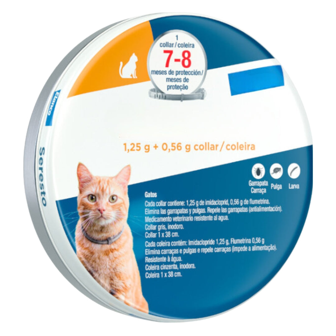 Collar para gato