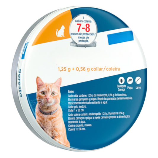 Collar para gato